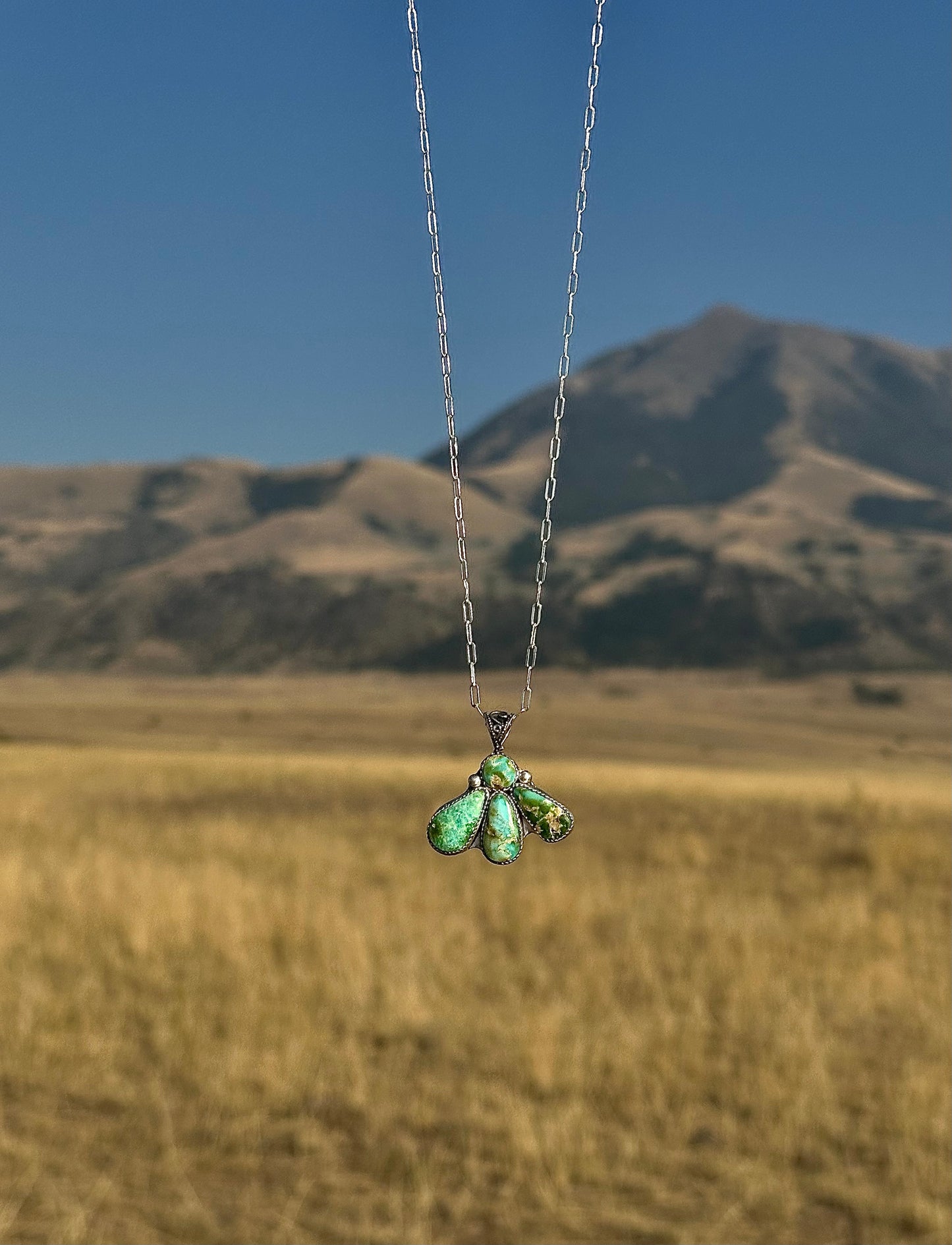 Sonoran Gold Turquoise Necklace