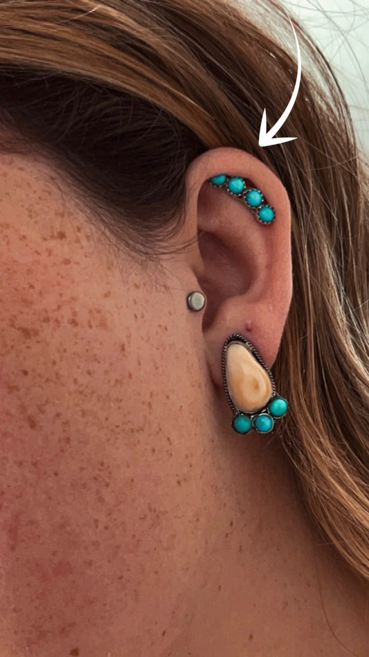 Ear Crawlers